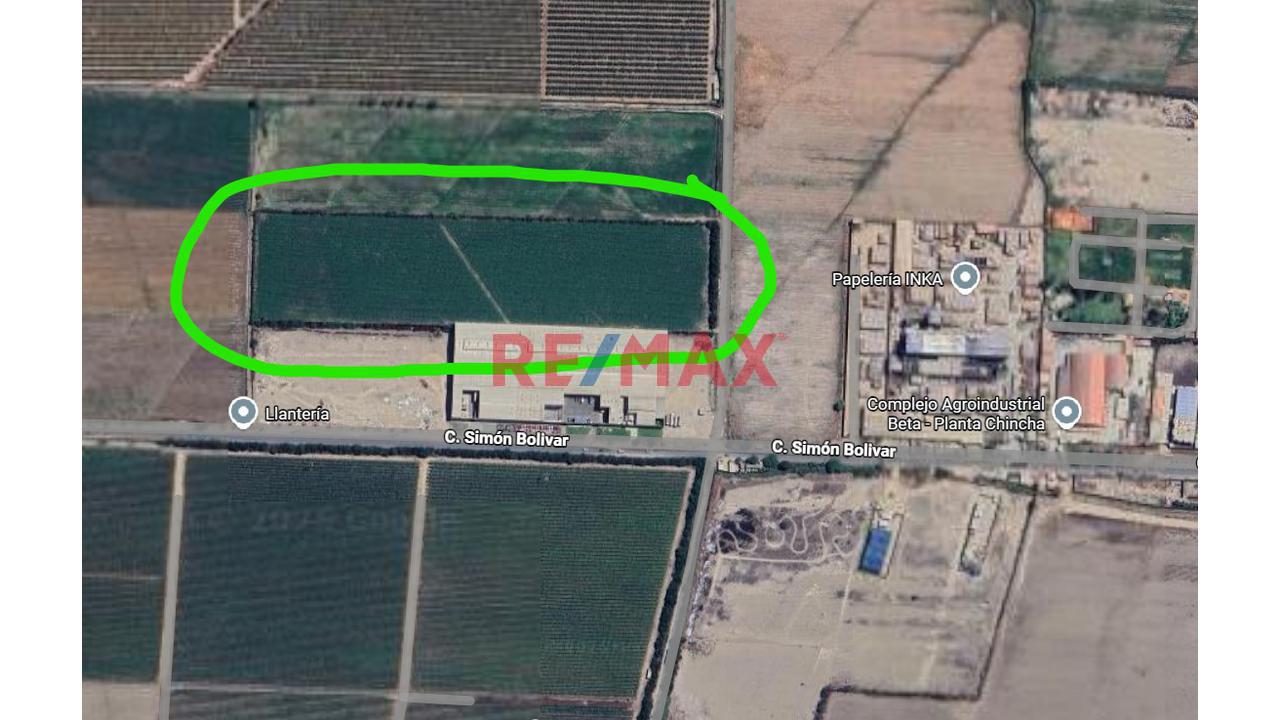 🌟 Terreno De 4.6200 Ha En Chincha Baja – Ideal Para Proyecto Inmobiliario, Fábrica O Desarrollo Agrícola