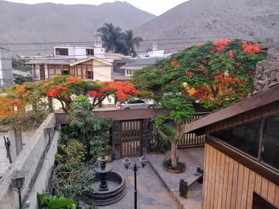 Venta de Casa en La Molina - Lima 3 Dormitorios