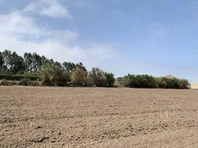 Venta de Terreno / Lote en Canete - Cañete