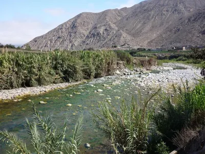 Venta de Terreno / Lote en Calango - Cañete