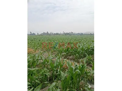 5.04 Ha En Barranca – Activo Estratégico Para Agroexportación E Inversión Patrimonial