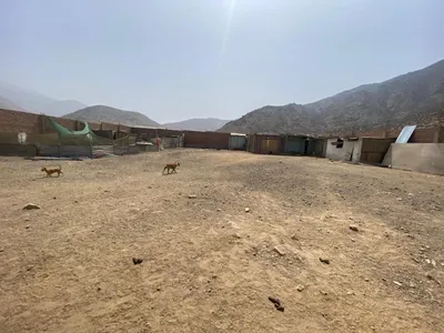 Venta de Terreno / Lote en Pachacamac - Lima