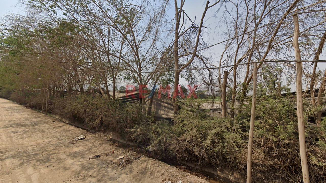 Terreno Rural De 29,788 M² En Carabayllo