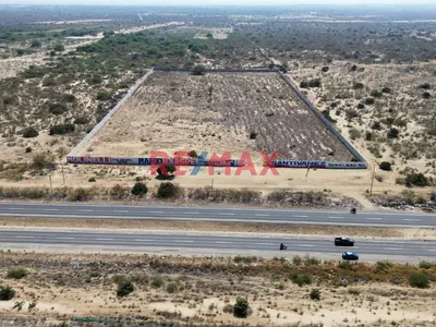 🏗️ ¡Oportunidad De Inversión!   📍 3 Hectáreas De Terreno – Filo De Pista  Piura- Sullana