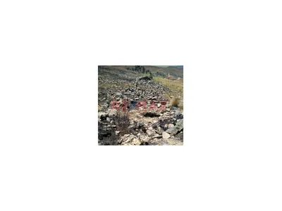 Venta De Oportunidad En Valle Mantaro, Jauja, Terreno Agricola 4,512M2.
