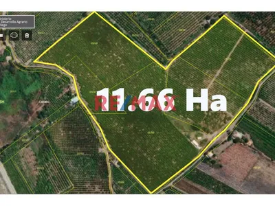 Se Vende Fundo Agricola De 11.6 Ha En Casma