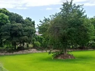 Venta de Terreno / Lote en La Cruz - Tumbes 0 Dormitorio 