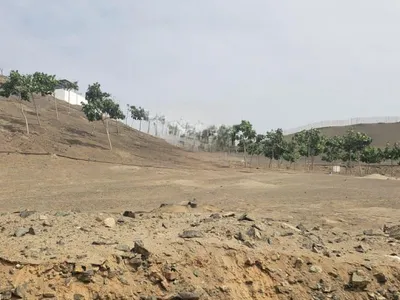 Terreno en venta · Condominio Alto Bujama, Mala · 280 m²