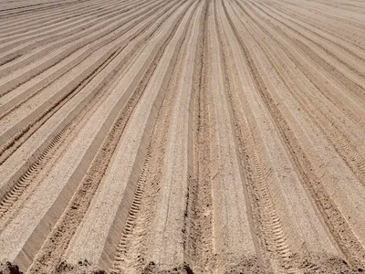 OCASIÓN: SE VENDE 5 HECTÁREAS AGRÍCOLAS EN POCOLLAY (LOS MOLLES) 🚨