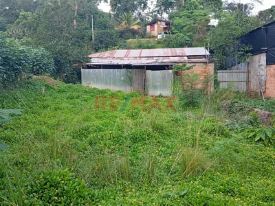 Terreno En El Distrito De Sauce A Cinco Cdras De La Laguna Azul, Tarapoto, San Martín.