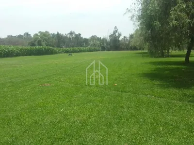 Venta de Terreno / Lote en Pachacamac - Lima 0 Dormitorio 