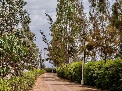 Venta de Terreno / Lote en Quilmana - Cañete