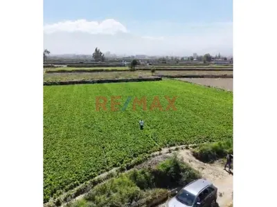 Terreno En Venta Por La Av Fernandini (Espaldas Rest. La Cau Cau)