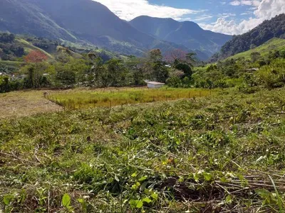 Venta de Terreno / Lote en Pozuzo - Oxapampa