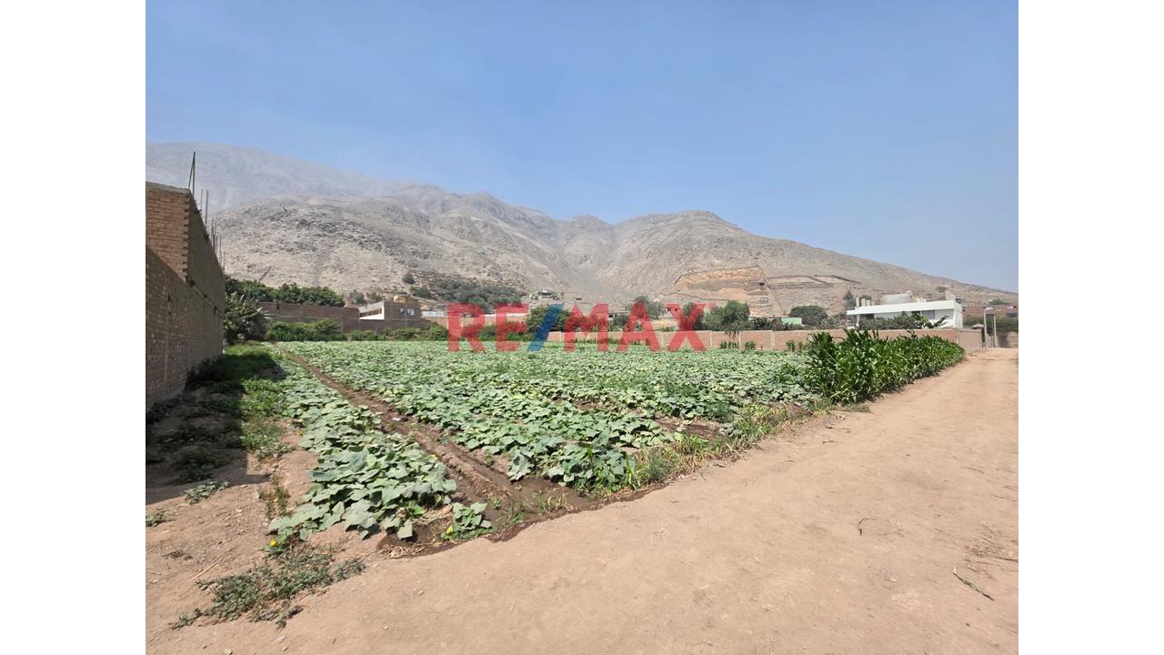 🚀 Venta De Terreno En Chocas Alto – Gran Oportunidad De Inversión 🌱