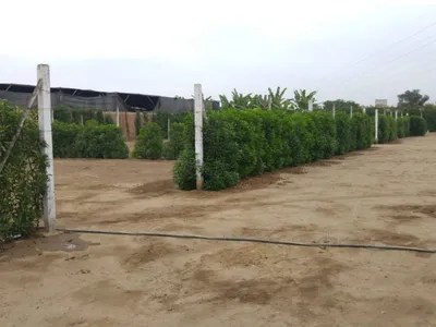 ¡Tu Casa De Campo Soñada Empieza Aquí – Lurín!