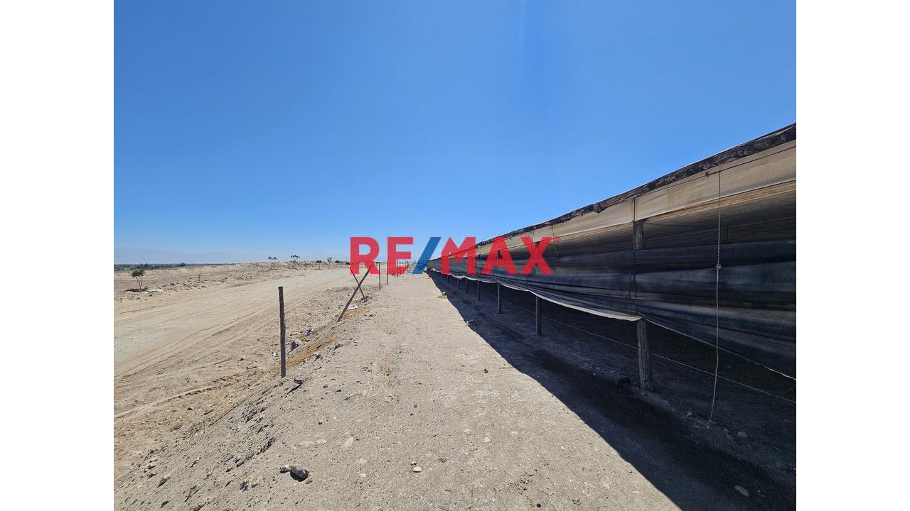 Venta De Terreno Con Galpon En El Pedregal Majes