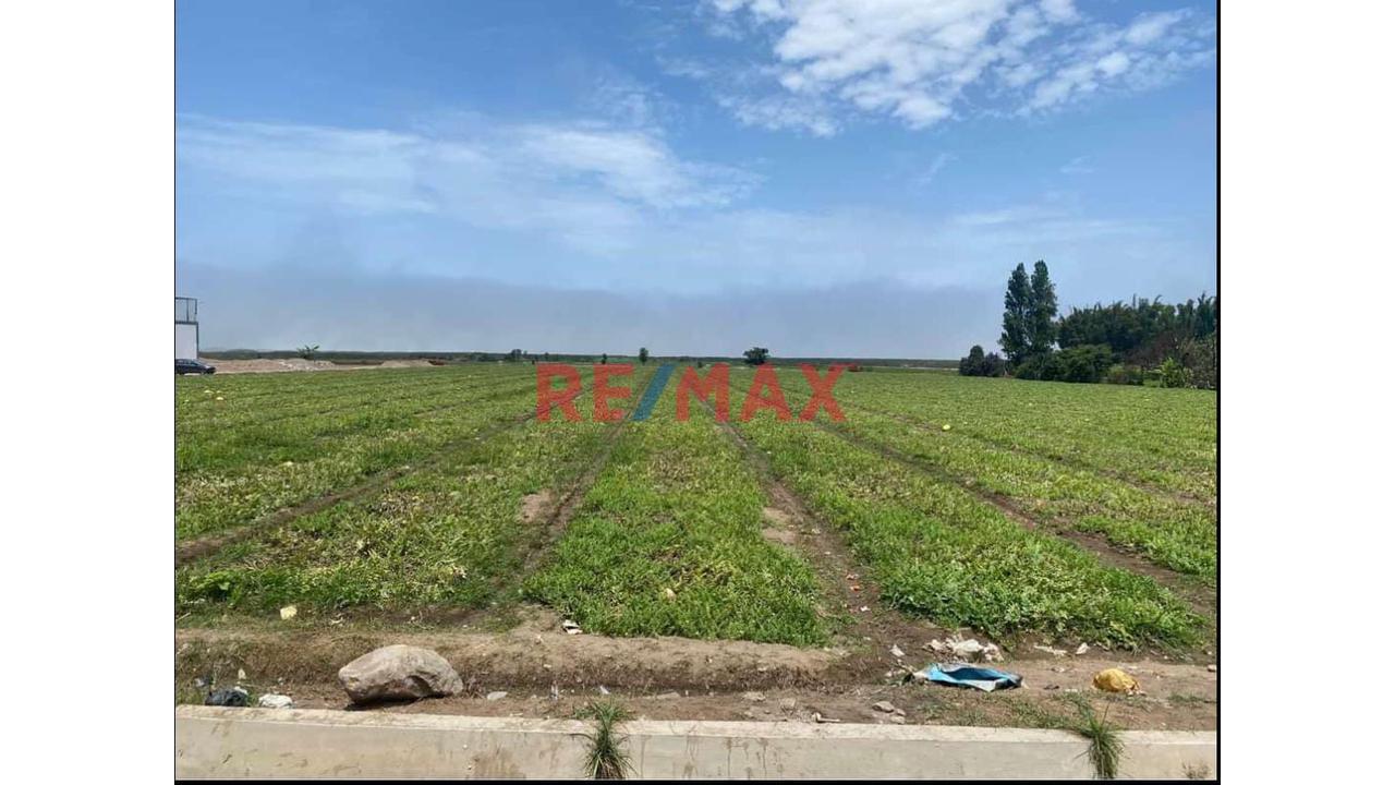 Venta De 1.17 Has En Chancay A 2Km Del Puerto $130 Por M2 - Sector Las Salinas