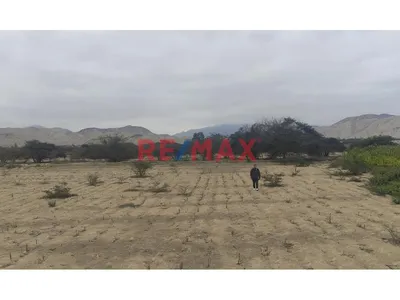 Venta De Terreno Agricola De 29 Has En Vilcahuaura - Huaura