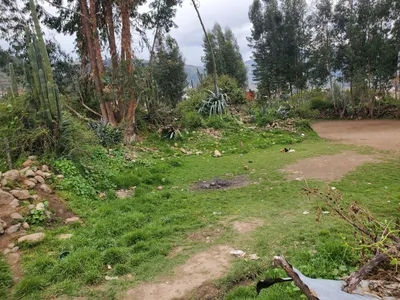 venta de terreno urbano