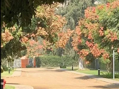Venta de Terreno / Lote en Cieneguilla - Lima