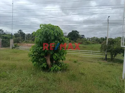 Terreno Agricola Pucalpa Plena Carretera Jorge Basadre Km 15