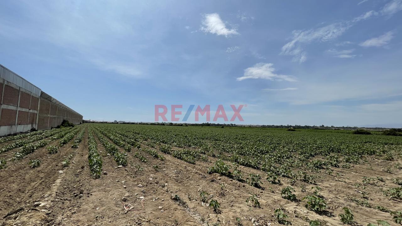 Venta De Terreno En Chincha: 46,200 M² Ideal Para Industria, Logística O Comercio