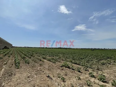 Venta De Terreno En Chincha: 46,200 M² Ideal Para Industria, Logística O Comercio