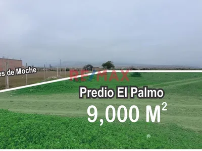 Terreno En Venta Amplio Y Bien Ubicado / Moche - El Palmo / 9,000 M2 / $ 130 X M2