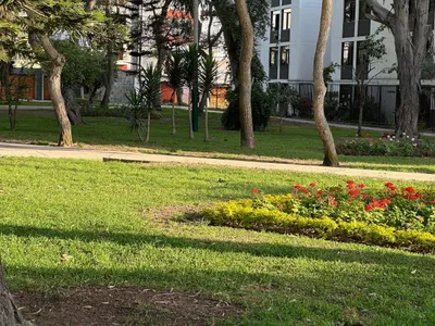 Venta de Departamento en Santiago de Surco - Lima 3 Dormitorios