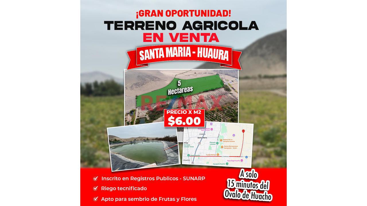 Terreno Agricola De  5 Hectarias  En Santa Maria - Huaura