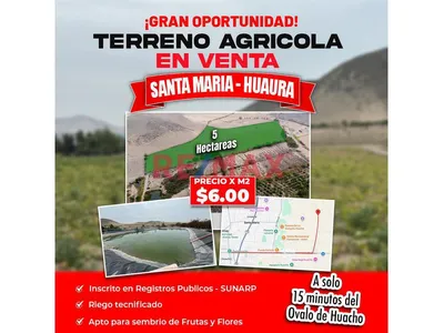 Terreno Agricola De  5 Hectarias  En Santa Maria - Huaura