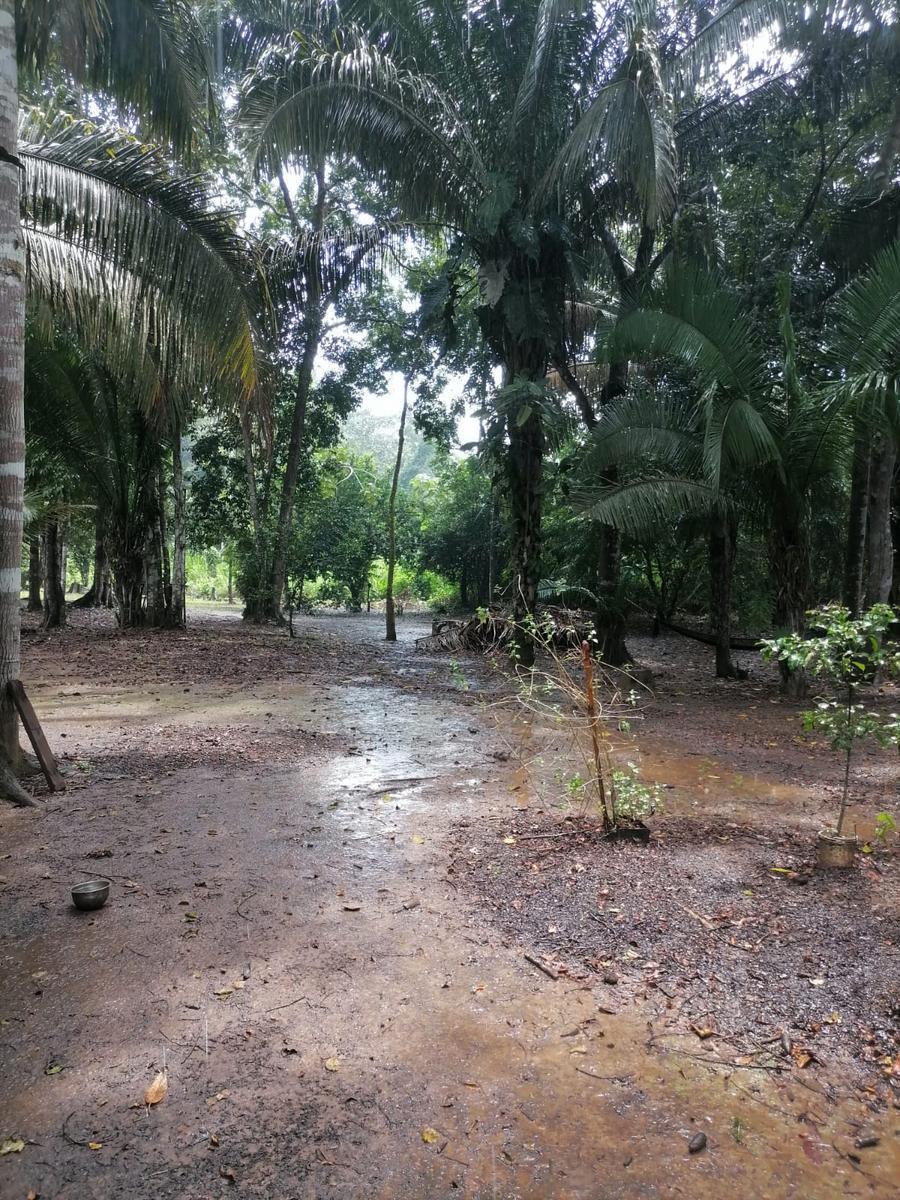 Venta de Terreno / Lote en - Tambopata 0 Dormitorio 