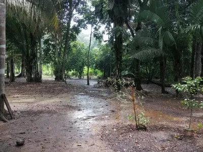 Venta de Terreno / Lote en Tambopata
