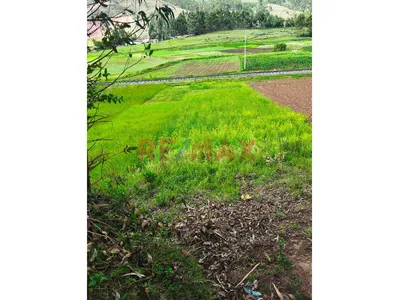 🌱✨ ¡Gran Oportunidad! Venta De Terreno Agrícola En Cachimayo – Anta