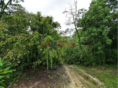 Se Vende Terreno Para Inversion Zona Turistica Tingomaria Huanuco