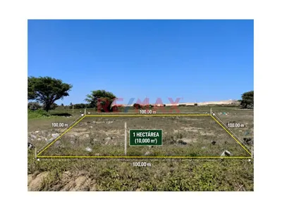 🌱🏡 ¡Terreno De 1 Hectárea En Venta – Pampas De Pimentel! 🏡🌱