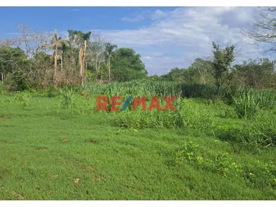 Venta Terreno Agrícola Juan Guerra