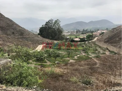 ¡Oportunidad Única! Terreno En Condominio Lomas De Jatosisa, Pachacamac