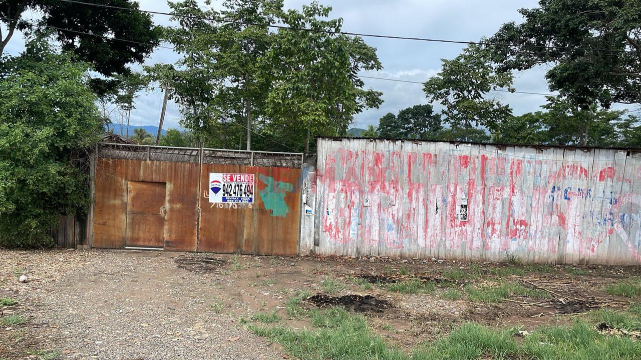 Venta De Extenso Terreno En Carretera Fernando Belaunde En Picota - San Martín