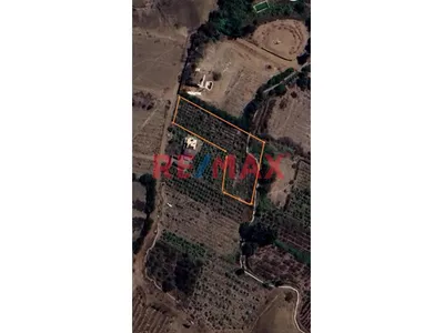 Vendo Terreno Agricola En Azpitia, Santa Cruz De Flores, Cañete