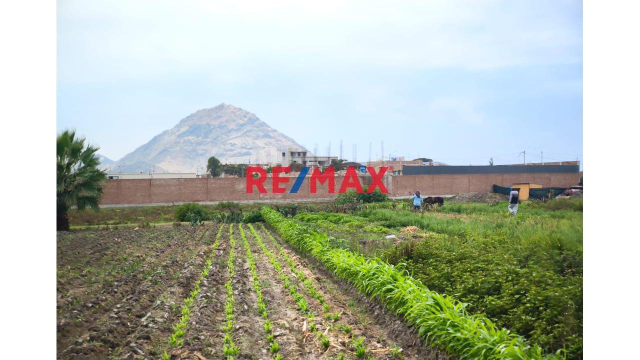 Oportunidad De Inversión: Amplio Terreno De 1,627 M2 - Laredo (A Espaldas De Complejo Upao) $ 229,306.00