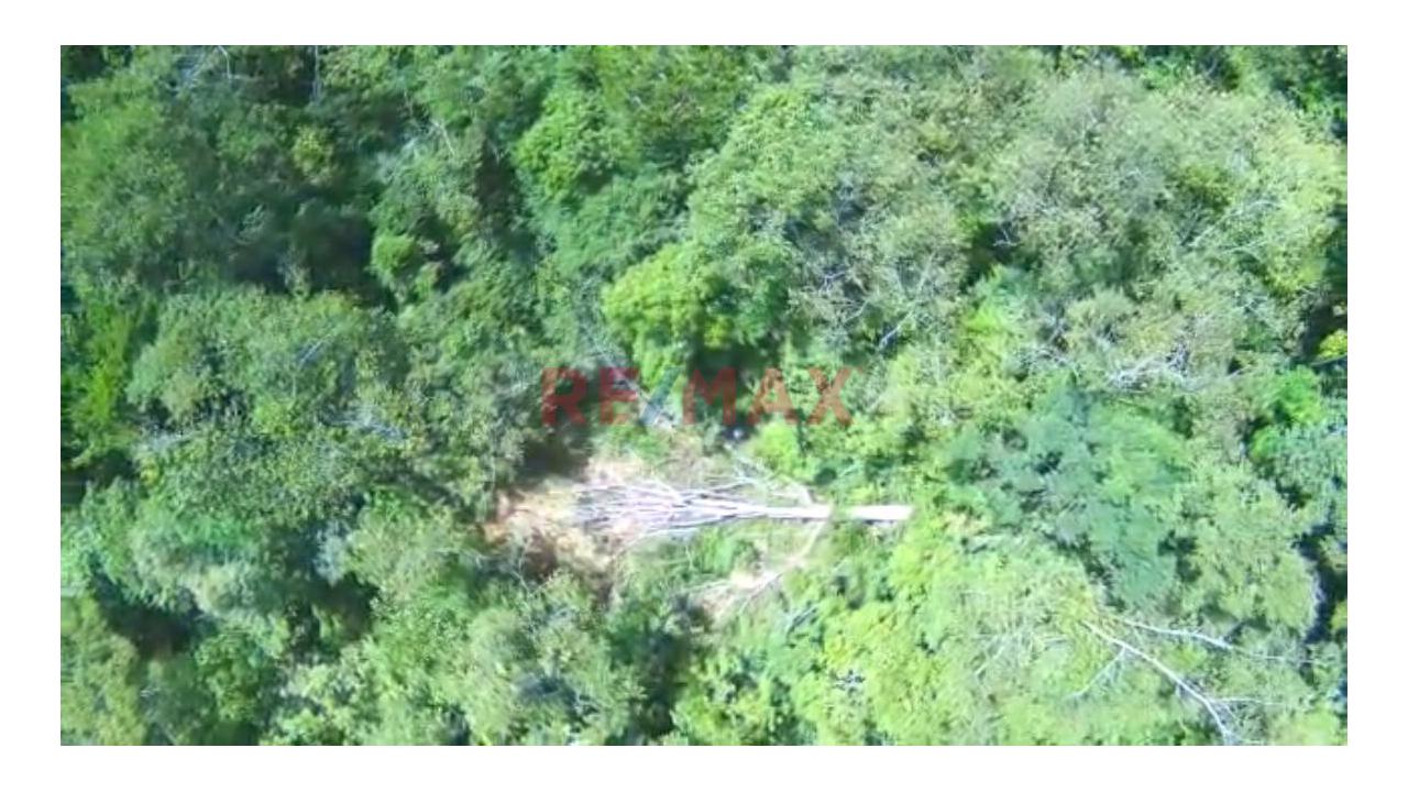 Vendo Terreno De 33 Hetareas En Villa Rica Oxapampa