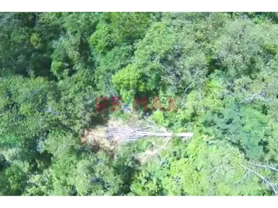 Vendo Terreno De 33 Hetareas En Villa Rica Oxapampa