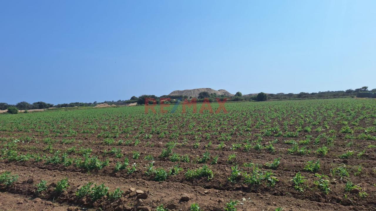 Venta De Terreno De 5,639.67 M² En Santa María – Huanchaco | Us$ 734,000.