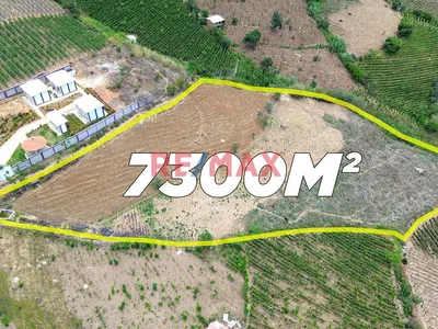 Terreno Agricola De 7300M2 En Venta En Cascas