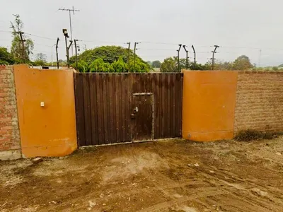 Venta de Terreno Agrícola en Pachacamac - Lima