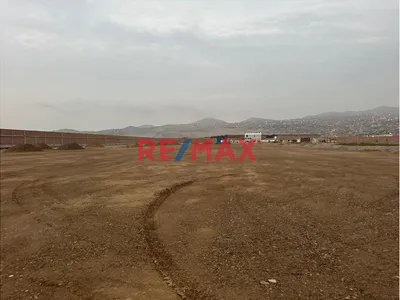 Alquiler De Terreno Industrial En La Zona De Ventanilla En La Av Los Delfines