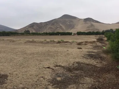 Venta de Terreno / Lote en Pachacamac - Lima