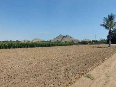 Venta de Terreno Agrícola en Lurín - Lima 0 Dormitorio 